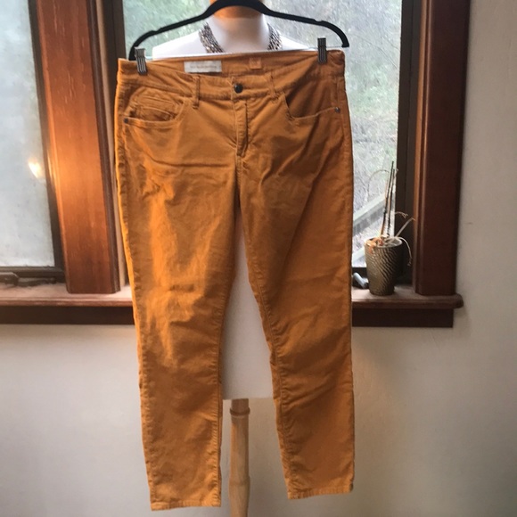 Anthropologie Denim - Anthropologie Pilcro&the Letterpress Stet jeans